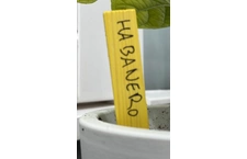 Plantenlabels