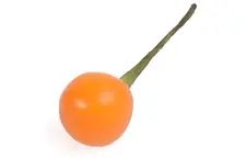 Aji Charapita Geel