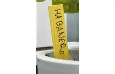 Plantenlabels PLantenlabel